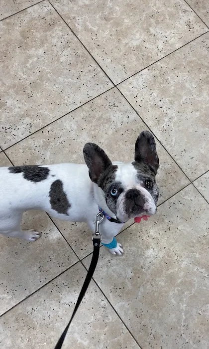Hamilton Ridge Animal Hospital Picture 5