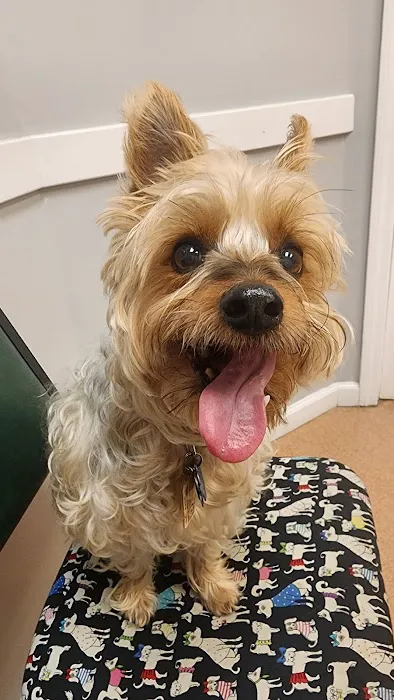 PetCare Animal Hospital Picture 3