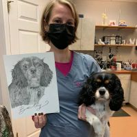 PetCare Animal Hospital ico