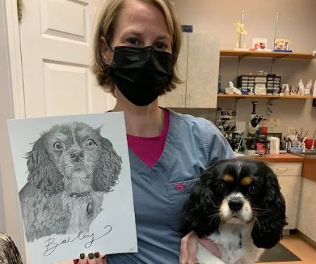 PetCare Animal Hospital