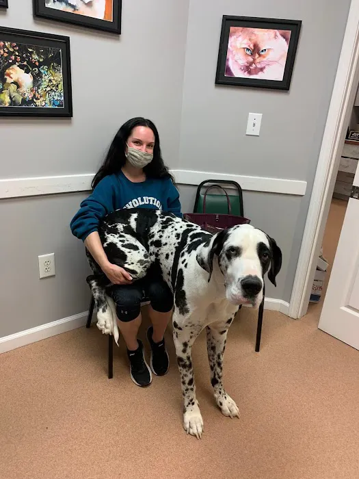 PetCare Animal Hospital Picture 6