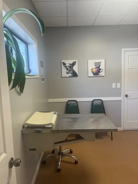 PetCare Animal Hospital Picture 8
