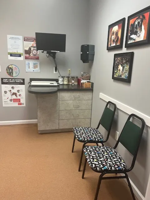 PetCare Animal Hospital Picture 9