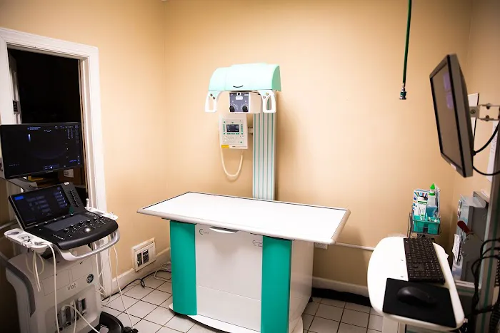Hog Mountain Animal Hospital Picture 9