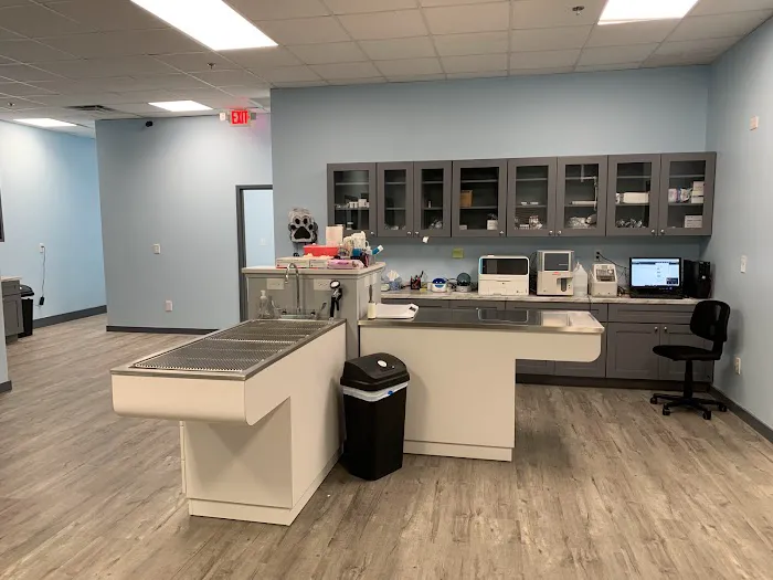 Gravel Springs Animal Hospital Picture 3
