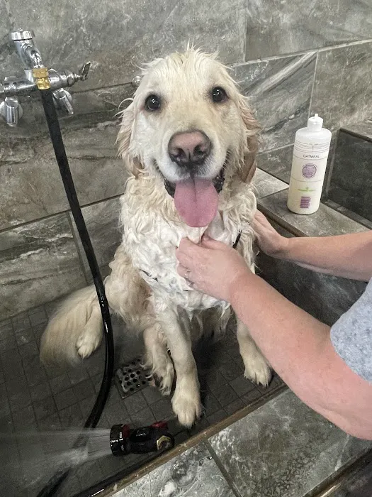 Miller Mobile Veterinary Services and Animal Hospital Picture 8