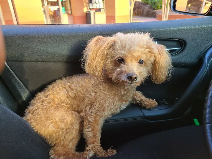Miller Mobile Veterinary Services and Animal Hospital Picture 9