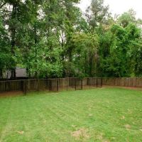East Marietta Animal Hospital ico