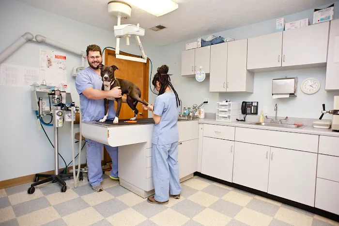 East Marietta Animal Hospital Picture 3