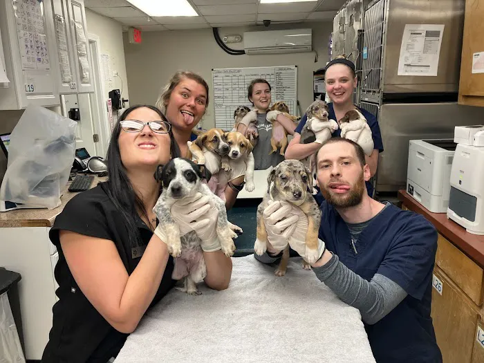 Beyond Pets Animal Hospital & Urgent Care Picture 1