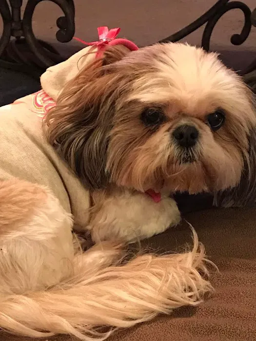 Beyond Pets Animal Hospital & Urgent Care Picture 10