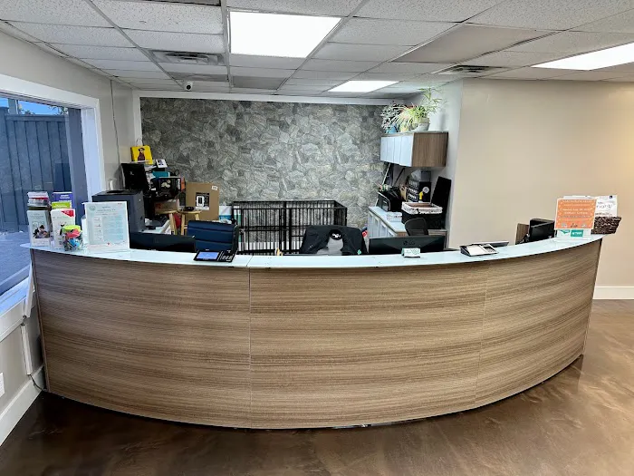 Beyond Pets Animal Hospital & Urgent Care Picture 7