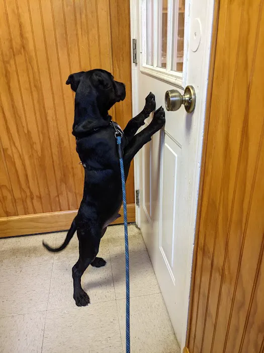 Animal Hospital of East Cobb Picture 8