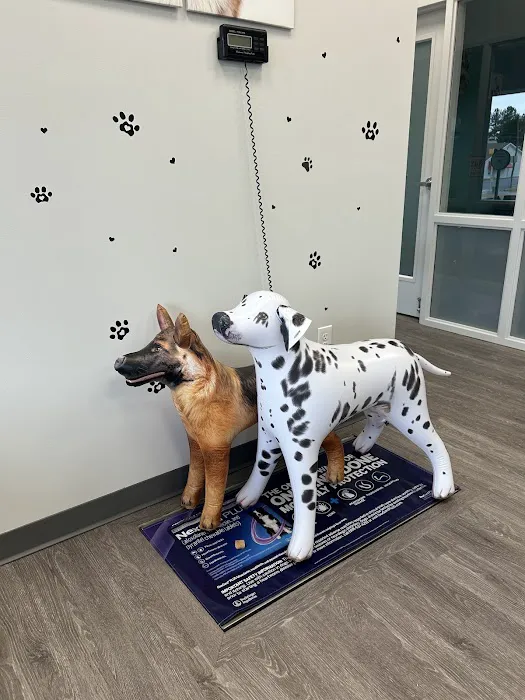Just For Pets Animal Hospital Picture 4