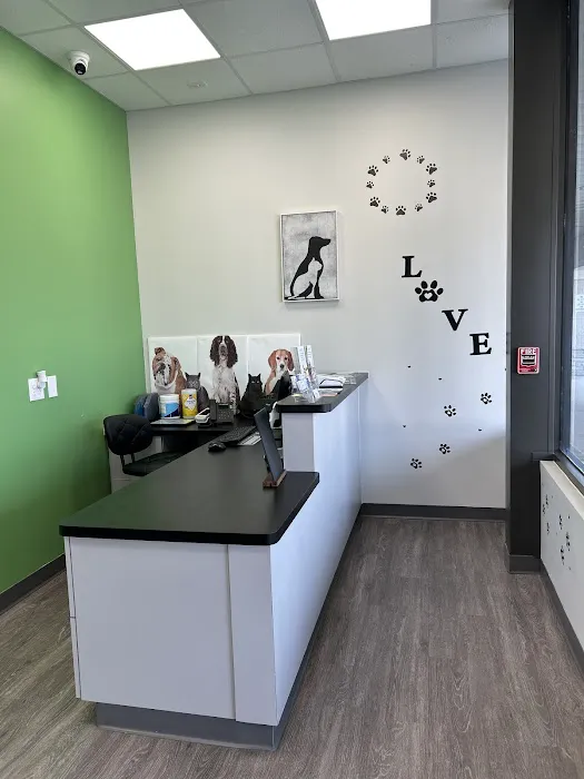 Just For Pets Animal Hospital Picture 1