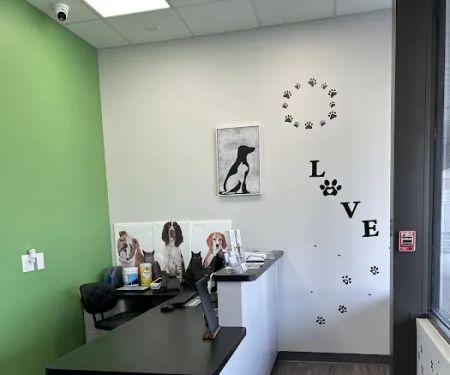 Just For Pets Animal Hospital