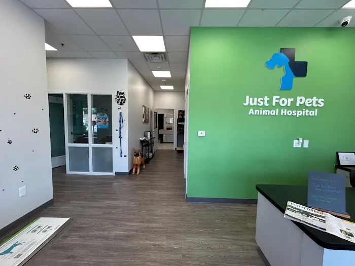 Just For Pets Animal Hospital Picture 10