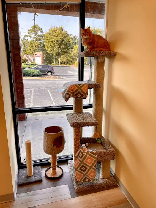 Happy Tails Animal Hospital Picture 1