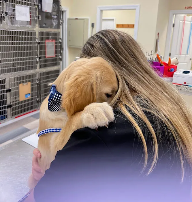 Happy Tails Animal Hospital Picture 2