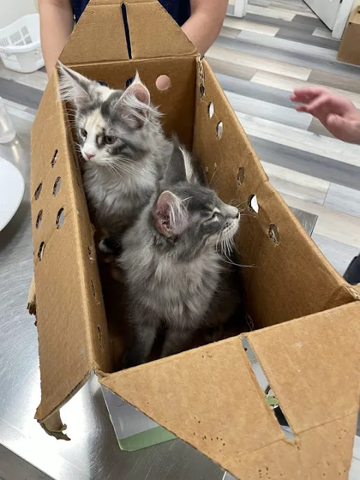 Happy Tails Animal Hospital Picture 8