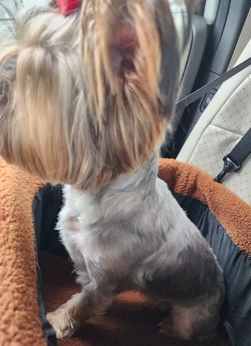 Vetco Total Care Animal Hospital Picture 4