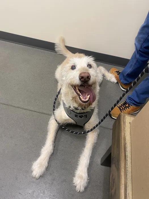 Vetco Total Care Animal Hospital Picture 1