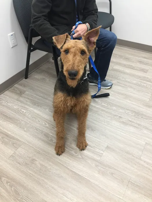 Total Veterinary Care - Kennesaw Picture 5