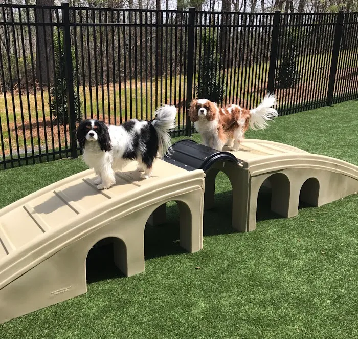 Kennesaw Mountain Animal Hospital Picture 1