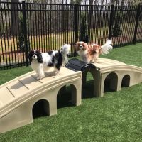 Kennesaw Mountain Animal Hospital ico