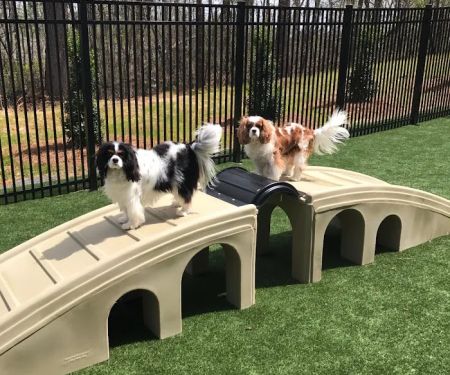 Kennesaw Mountain Animal Hospital