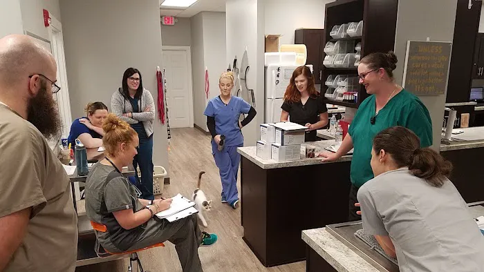 Kennesaw Mountain Animal Hospital Picture 3
