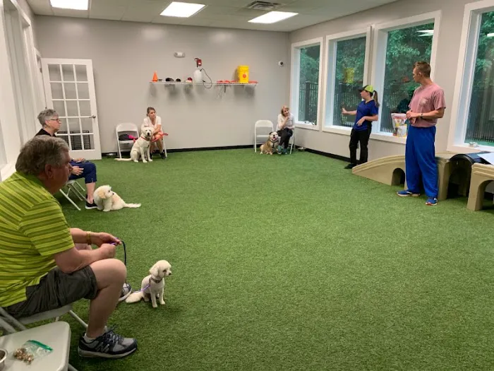 Kennesaw Mountain Animal Hospital Picture 5