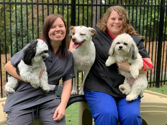 Kennesaw Mountain Animal Hospital Picture 9