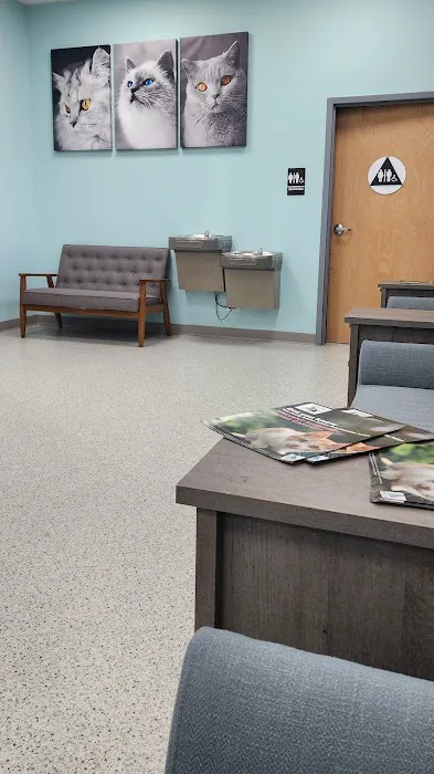 Community Cat Clinic Duluth Picture 4