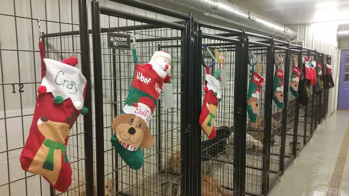 Old Peachtree Animal Clinic Picture 9