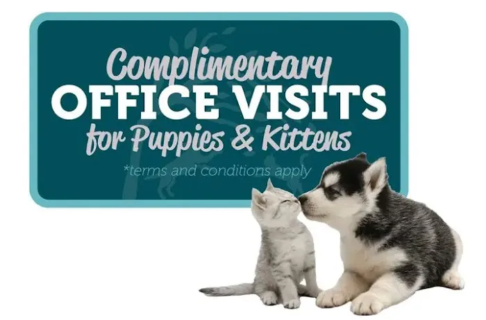 Mercy Animal Hospice & In Home Pet Euthanasia Picture 1