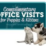 Mercy Animal Hospice & In Home Pet Euthanasia