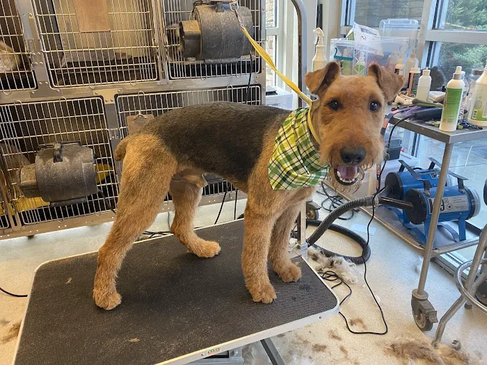 Sugar Creek Animal Hospital Picture 1