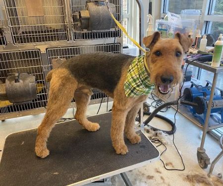 Sugar Creek Animal Hospital