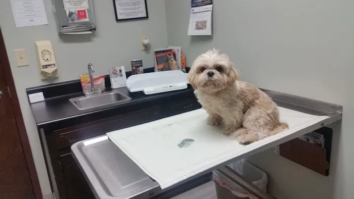 Pleasant Hill Animal Hospital Picture 6