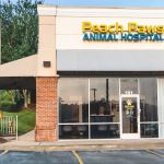 Peach Paws Animal Hospital