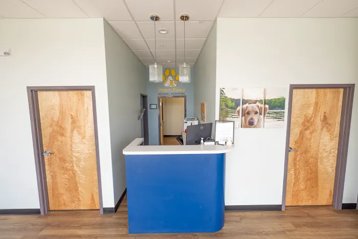 Peach Paws Animal Hospital Picture 3