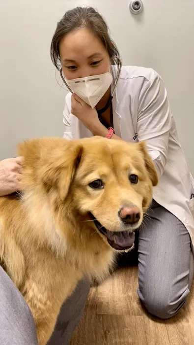 Peach Paws Animal Hospital Picture 6