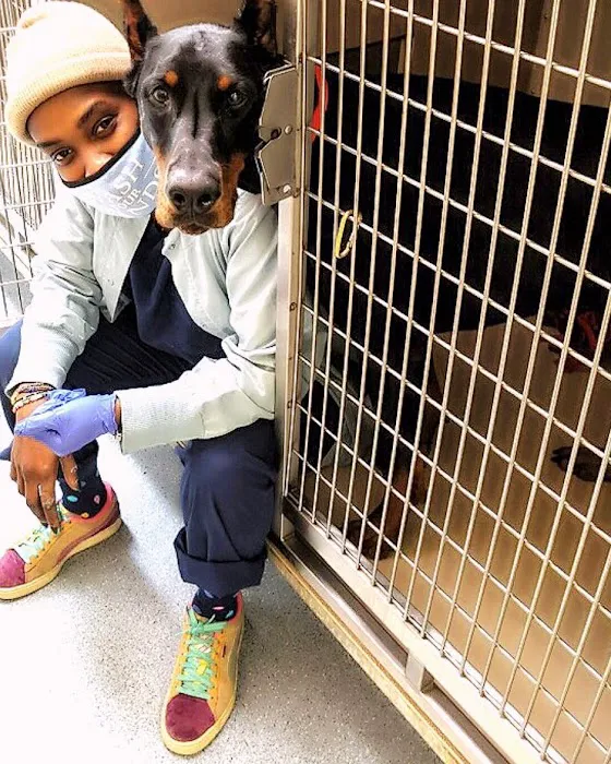 All Creatures Animal Hospital Picture 7