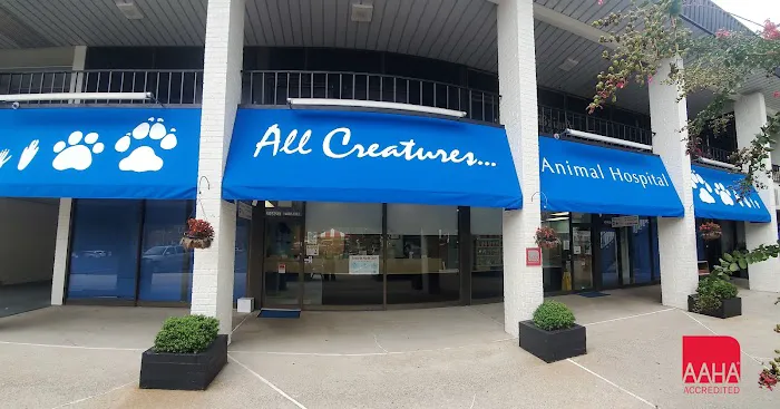 All Creatures Animal Hospital Picture 9