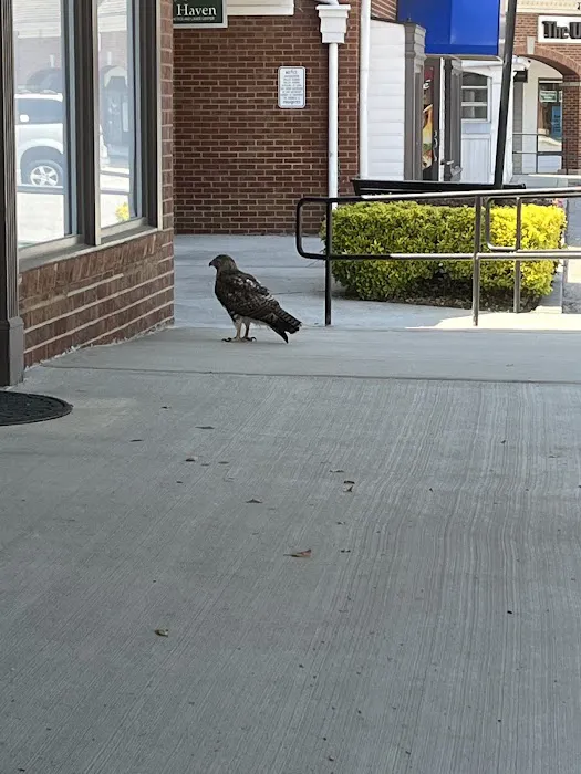 Dunwoody Animal Medical Center Picture 1