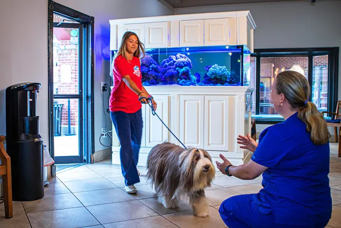 Dunwoody Animal Medical Center Picture 5
