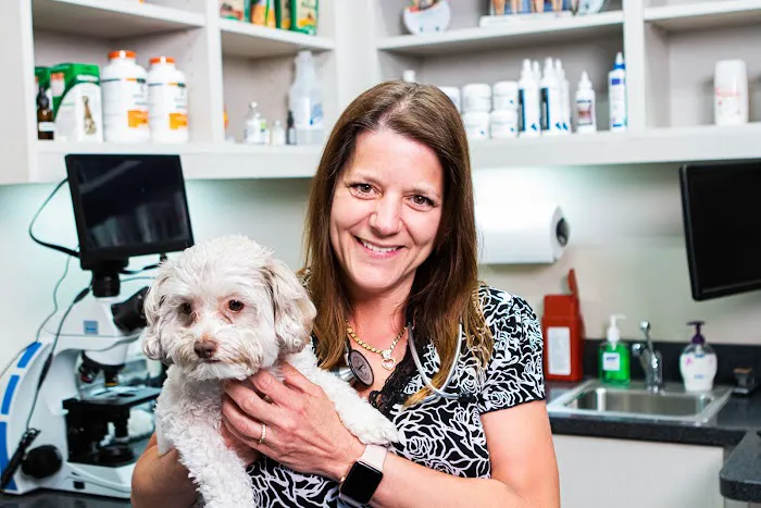 Dunwoody Animal Medical Center Picture 10