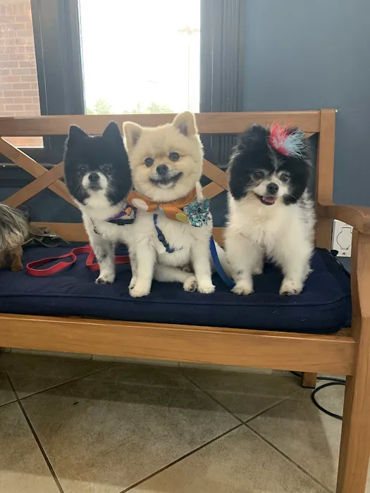 Dunwoody Animal Medical Center Picture 9