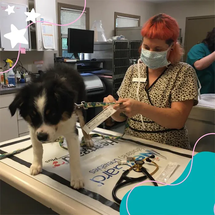 Winters Chapel Animal Hospital - Animal Clinic, Vets in Dunwoody GA Picture 10